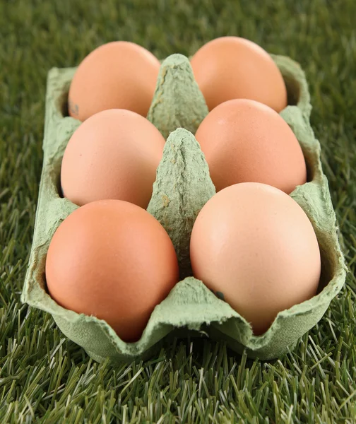 Свежие яйца на траве — стоковое фото