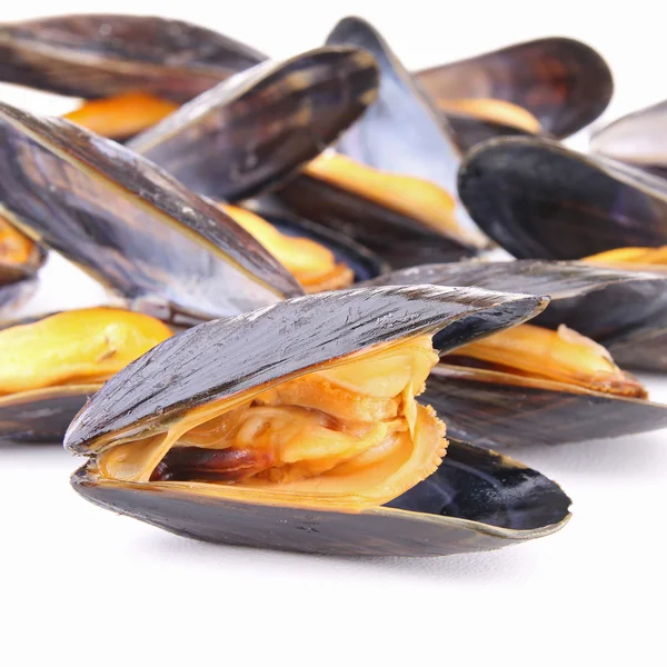Closeup on mussels — Stock Photo, Image