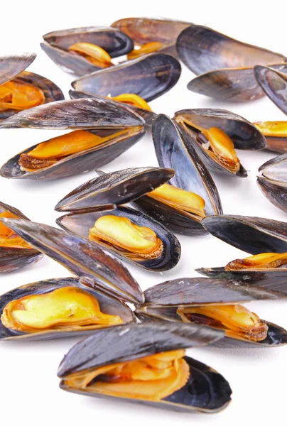 Group of mussel — Stock Photo, Image