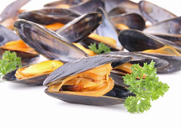 Grupo de mejillones y perejil — Foto de Stock