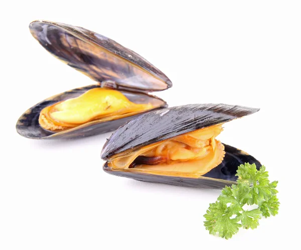 Isolated mussel and parsley — Stock Photo, Image