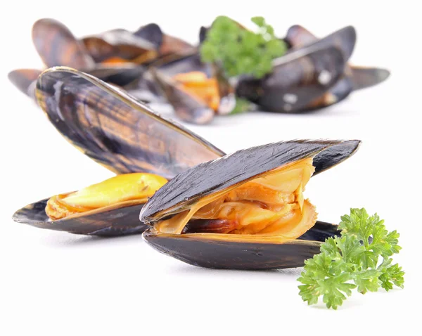 Mussel and parsley — Stock Photo, Image