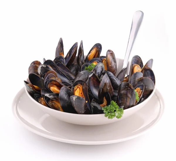 Isolated plate of mussels on white — Stock Photo, Image