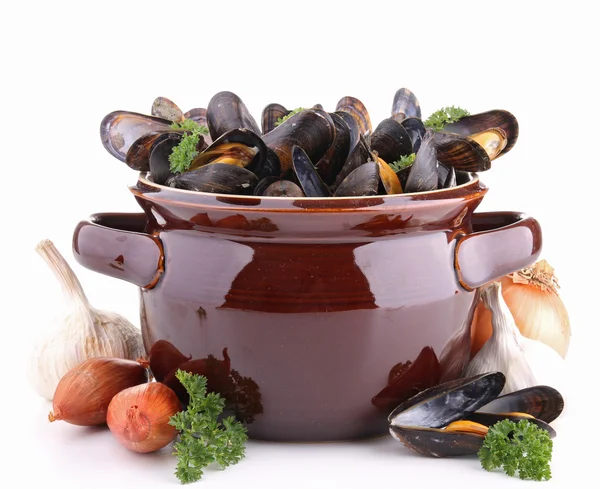 Pot with mussels and ingredient — Stock Photo, Image