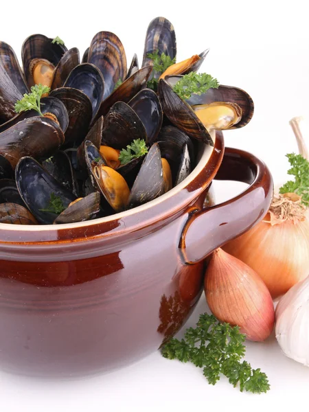 Pot with mussels on white — Stock Photo, Image
