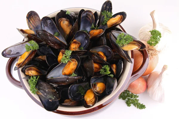 Mussels and parsley on white — Stock Photo, Image