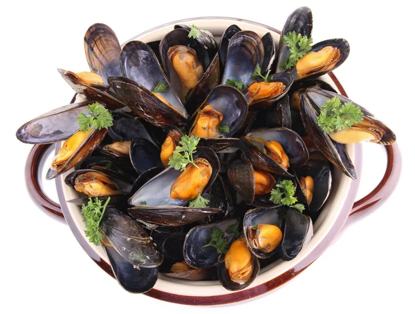 Isolated mussels and parlsey — Stock Photo, Image