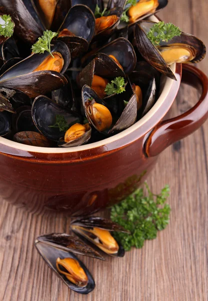 Mussels,wine and parsley — Stock Photo, Image