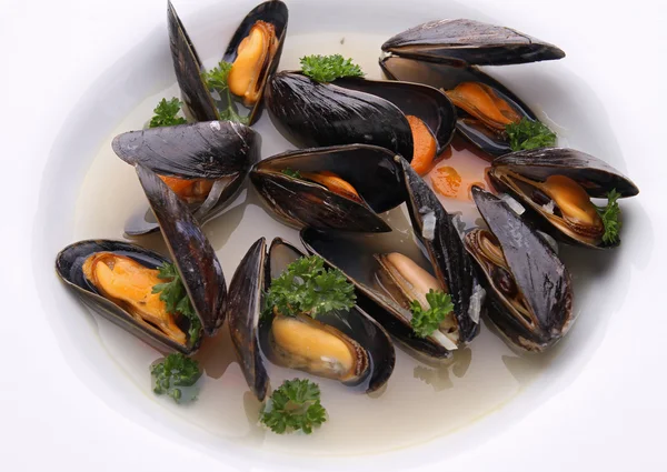 Mussels and wine sauce with parsley — Stock Photo, Image