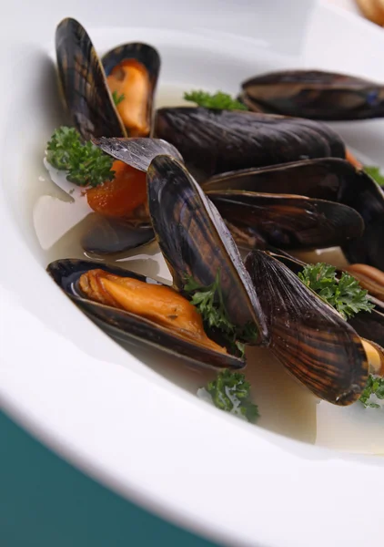 stock image Mussels and sauce