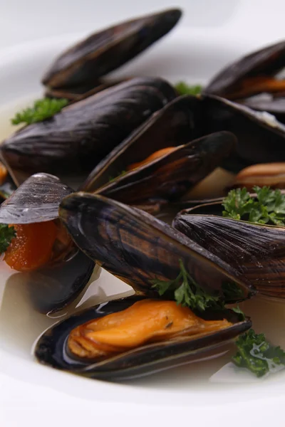 Mussels and sauce — Stock Photo, Image