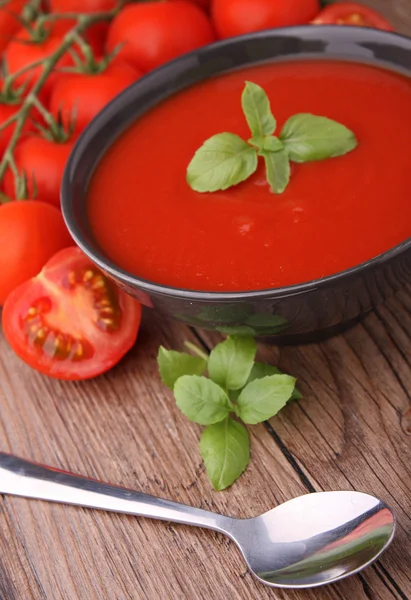 Sopa de tomate con albahaca — Foto de Stock