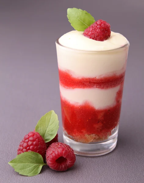 Gourmet raspberry tiramisu — Stock Photo, Image