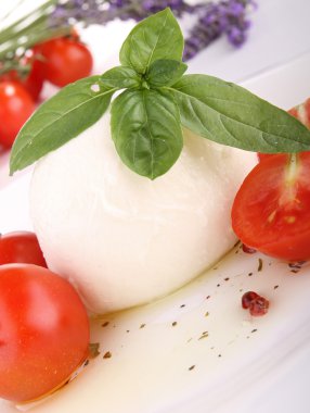 domates ve mozzarella