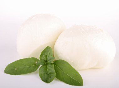 mozarella