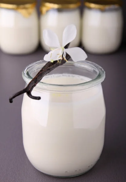 Vanilkový jogurt — Stock fotografie