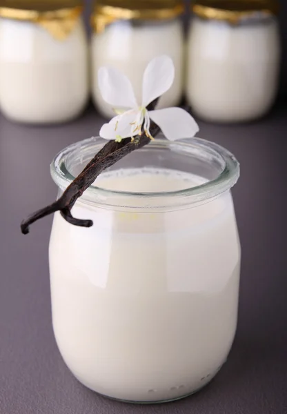 Yogurt alla vaniglia — Foto Stock