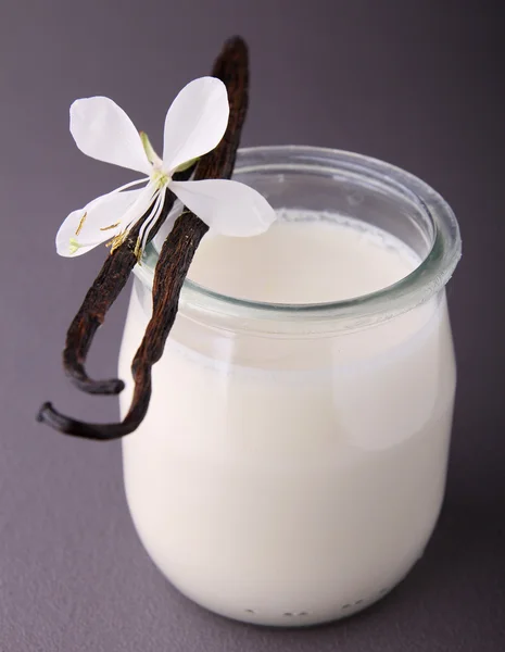 Iogurte de baunilha — Fotografia de Stock
