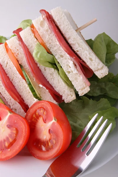 Club sandwich and vegetables — Stock Photo, Image