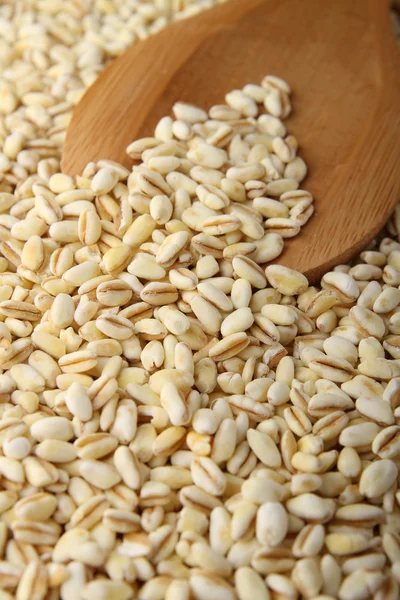 Nezpracovaná pšenice a lžíce — Stock fotografie