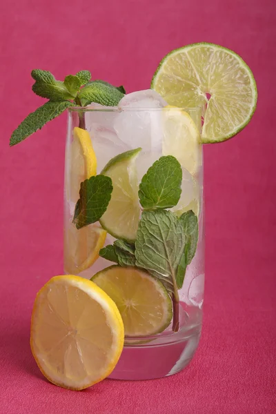 taze mojito kokteyli