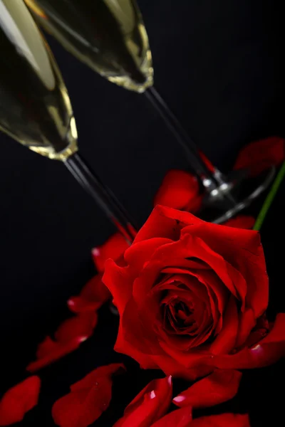 Champagner und Rose — Stockfoto