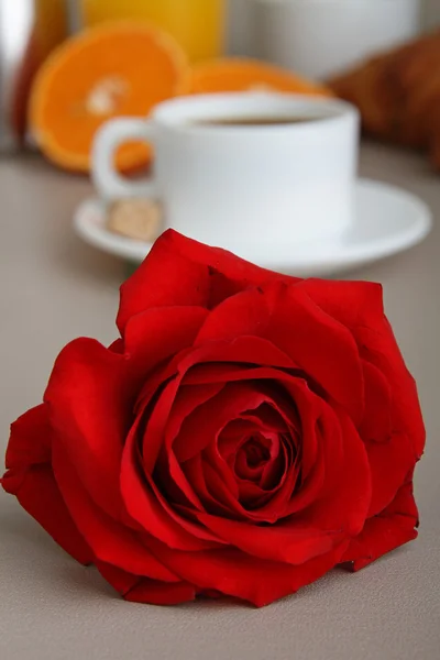 Кофе и роза — стоковое фото