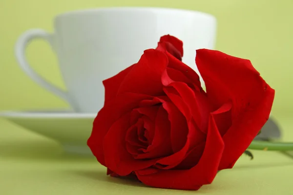 Coffee cup and rose — Stock Photo, Image