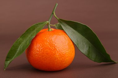 taze clementine