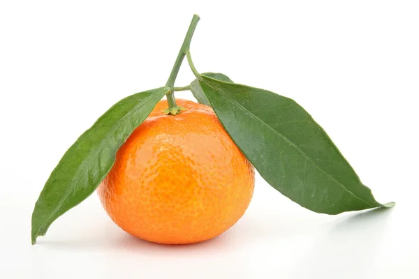 Isolated clementine on white — Stock Photo, Image