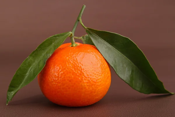 Verse clementine — Stockfoto