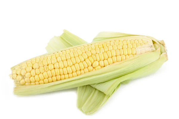 stock image Isolated corn on white