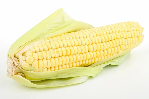 Geïsoleerde maïs op wit — Stockfoto