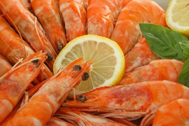 karides üzerinde kapat