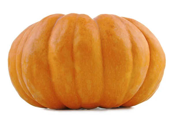 Isolated pumpkin on white — Stock Photo, Image