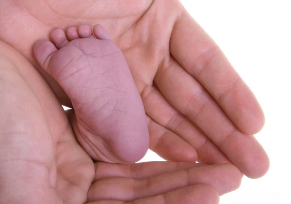 Pie de recién nacido en mano de hombre aislado sobre fondo blanco — Foto de Stock
