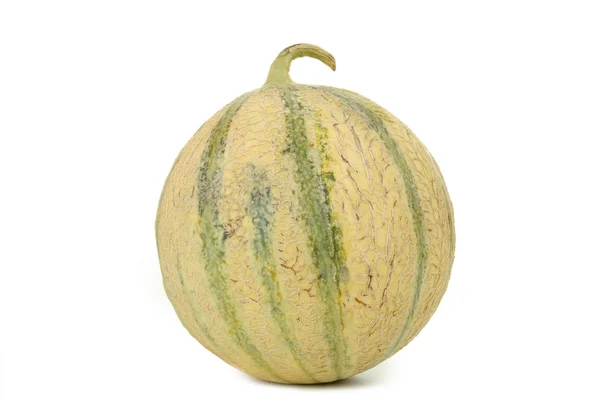 Isolated melon — Stock Photo, Image