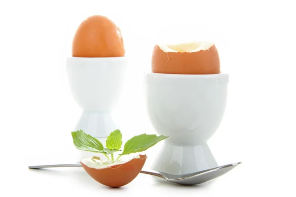 stock image Soft boiled egg