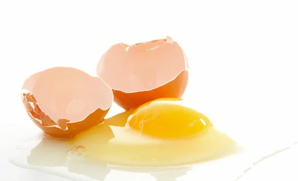 달걀 — 스톡 사진