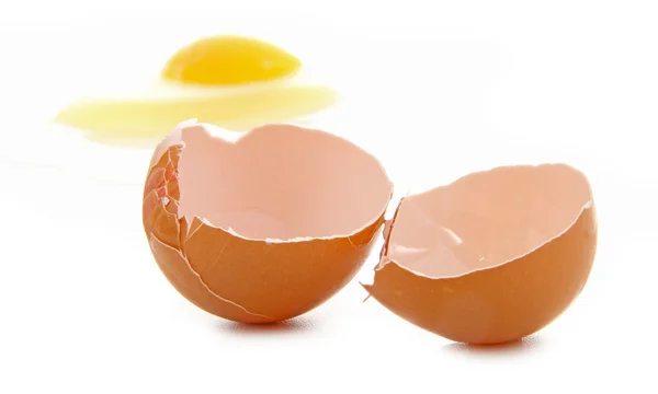 stock image An egg