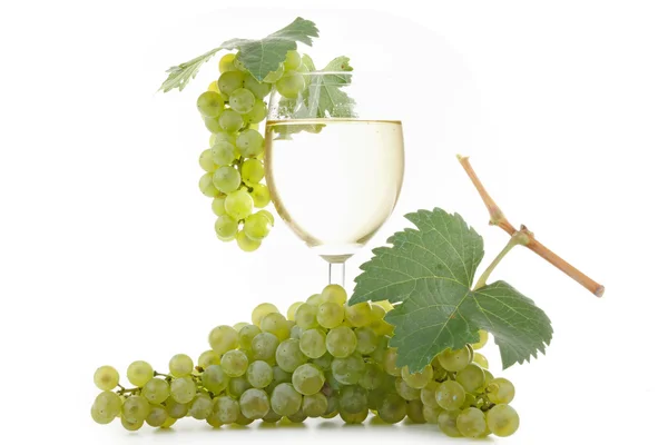 stock image White wine and grape