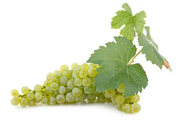 Na białym tle winogron — Zdjęcie stockowe