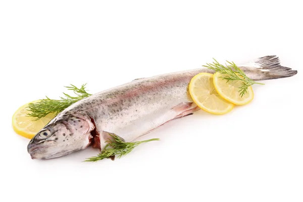 Isolated fresh trout — Stock Photo, Image