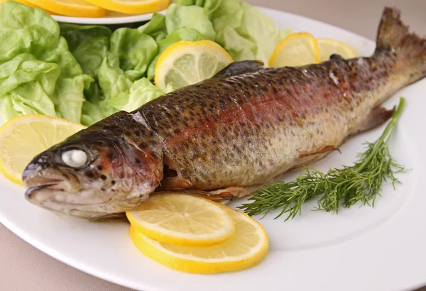 stock image Grilled trout on plate