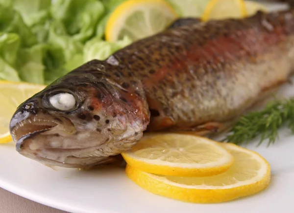 stock image Grilled trout with lettuce