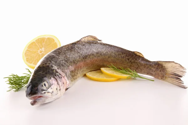 Raw trout on white — Stock Photo, Image