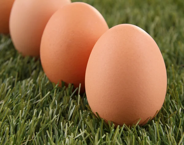 Fresh egg on green grass — Stock Photo, Image