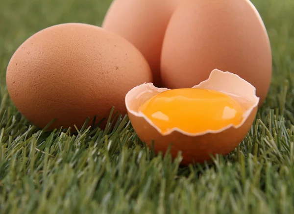 Egg and yolk — Stock Photo, Image