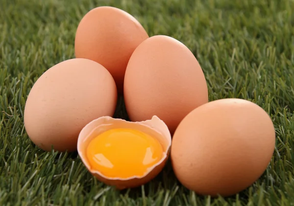 Egg on herb — Stock Photo, Image