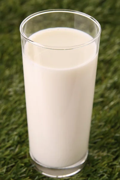 Un vaso de leche fresca — Foto de Stock